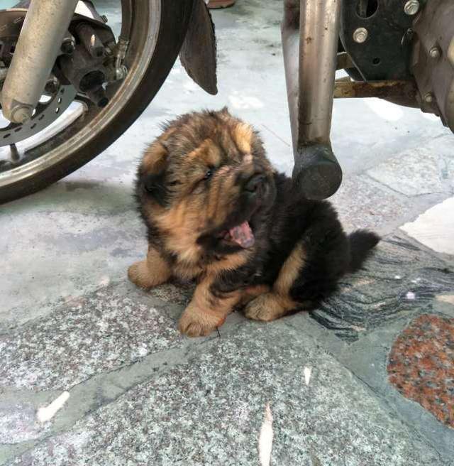 【品牌整形】武汉奥黛丽为广大顾客定制美丽服务:英亚官网首页(图1) 英亚官网首页