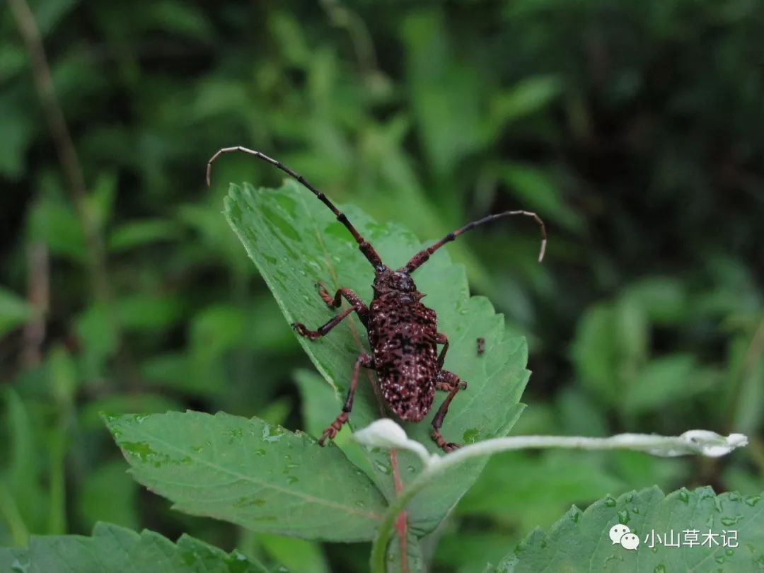 广州严查医保卡变购物卡 两家药店被取消医保资格:英亚官网首页(图1) 英亚官方网站