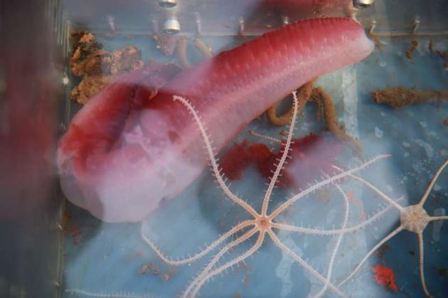 4月18日,瘦脸大师穆雄铮亲诊‘英亚官网首页’(图2) 英亚官网首页