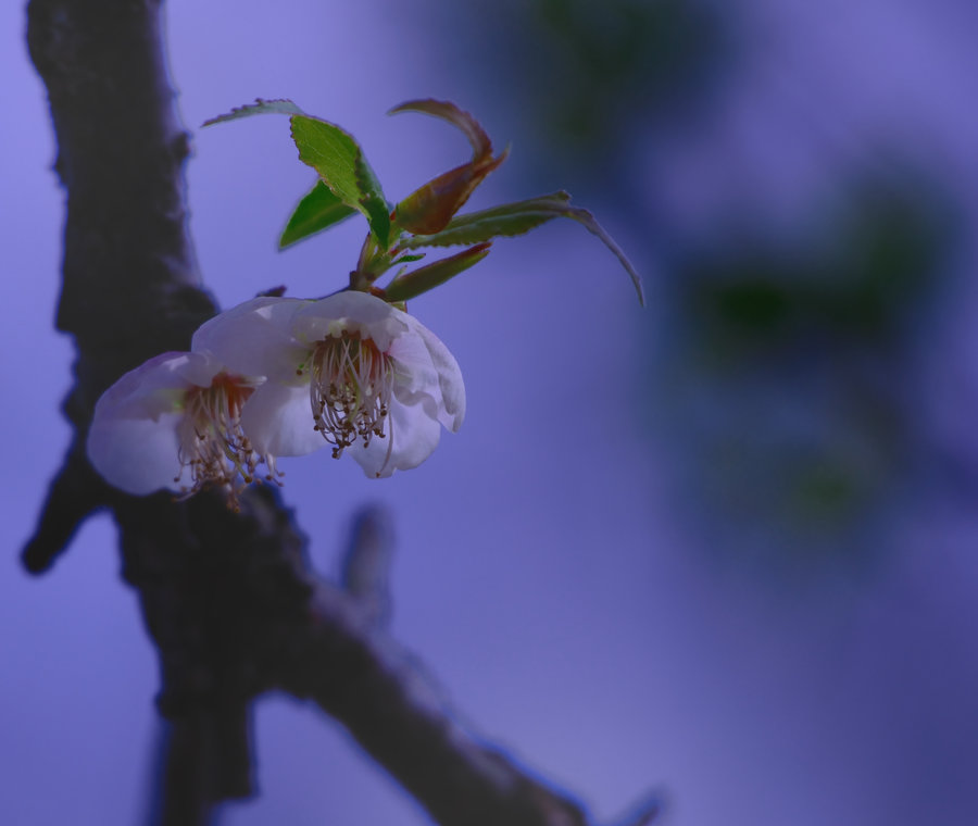 ‘英亚官方网站’熊顿逝世三周年纪念展览 白百何诠释“熊顿精神”(图1) 英亚官网首页