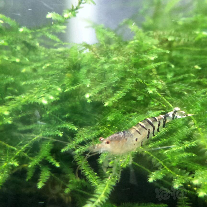 【口碑整形】山西伊特雅姚冰把整形美容技术与艺术潮流相融合_英亚官网首页(图1) 英亚官方网站