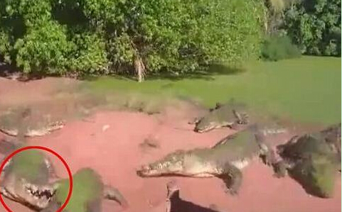 英亚官方网站_女子话4万多整鼻子,中介拿走2万回扣(图1) 英亚官网首页