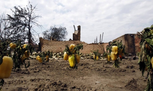 珍珠粉知识大全:英亚官网首页(图1) 英亚官网首页