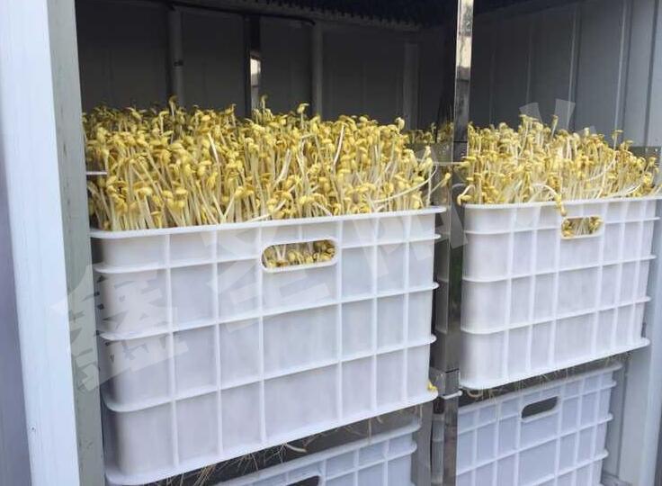 英亚官网_整形前沿:千万别让微整形变成“危整形”(图2) 英亚官方网站