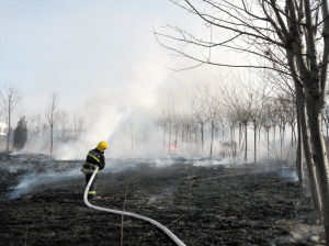 假日忙整形,8天变美丽【英亚官方网站】(图2) 英亚官网首页