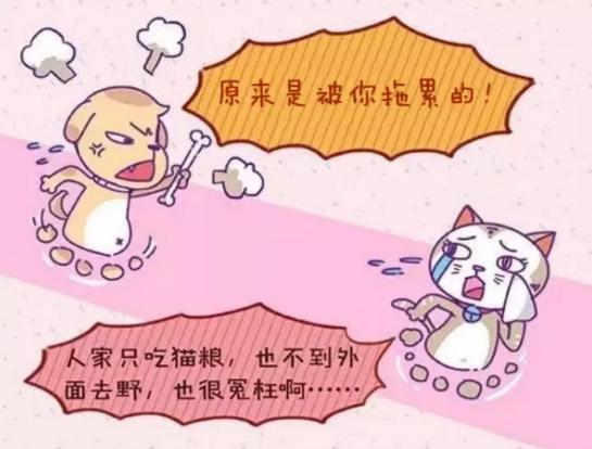 春节火了服务型网站‘英亚官网’(图1) 英亚官网首页