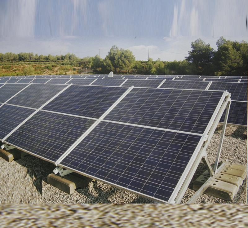 红癫茄的功效与作用|英亚官方网站(图1) 英亚官网