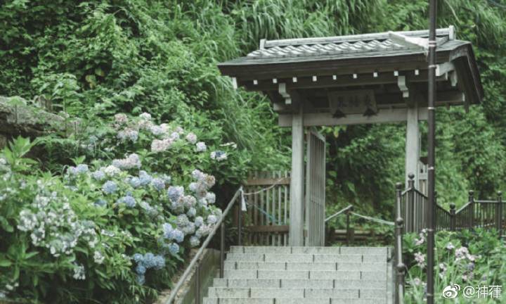 英亚官网首页|游戏改编动画《ISLAND》定于2018年开播 恋爱冒险启程(图2) 英亚官网