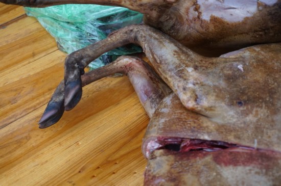 【英亚官网】女人为什么要去做整形 只是为了变美吗(图3) 英亚官网