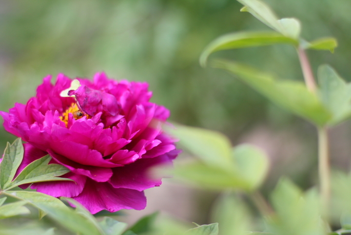 女主播疑打完玻尿酸后被冻歪下巴 医生回应:不可能|英亚官网(图2) 英亚官方网站